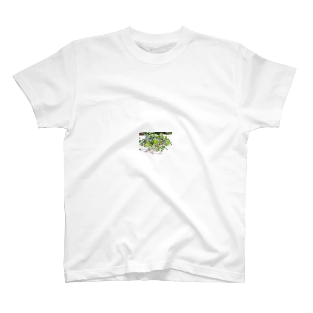 potaの多肉植物盛り合わせ Regular Fit T-Shirt