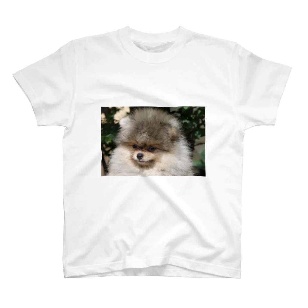 AndypukuのPretty pomeranian Moco Regular Fit T-Shirt