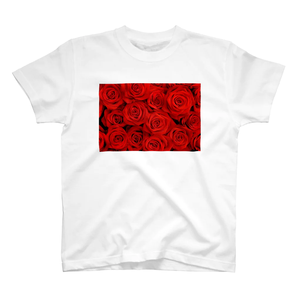 dicekの情熱の薔薇 Regular Fit T-Shirt