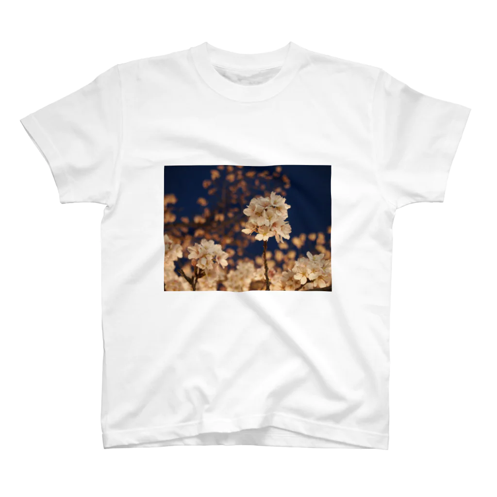 ktm_mの夜桜 スタンダードTシャツ