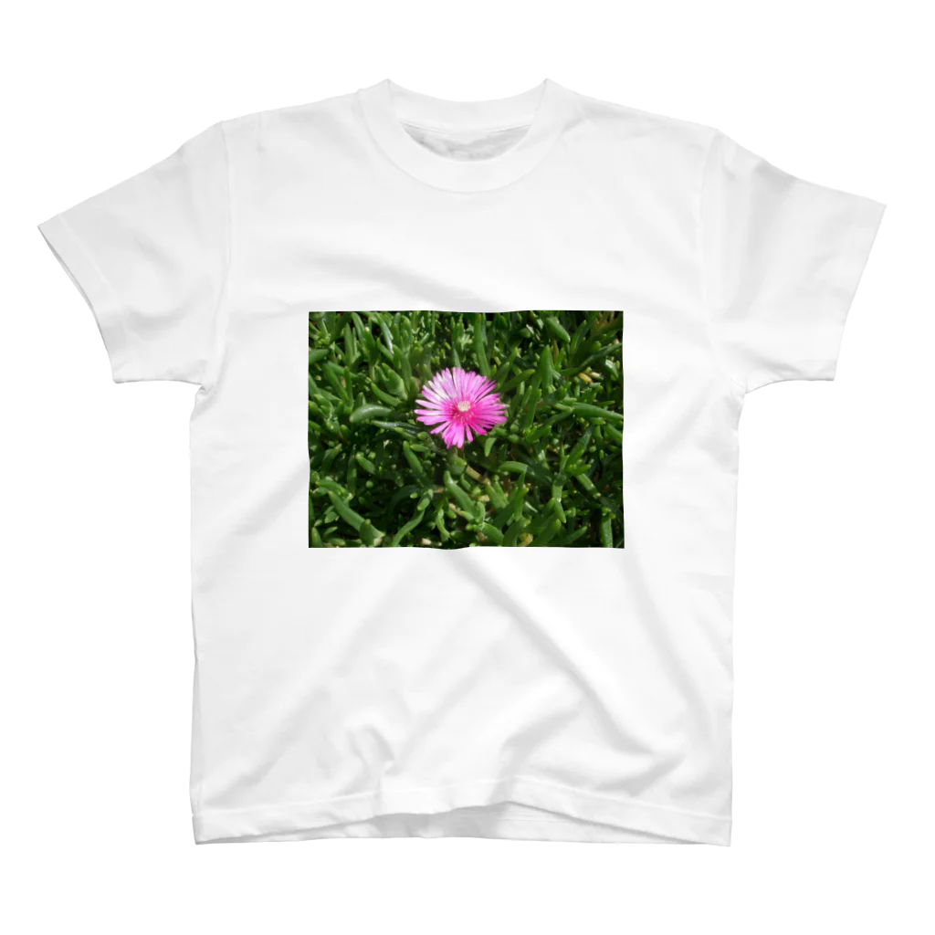 田中民生の小さい可憐な花 スタンダードTシャツ