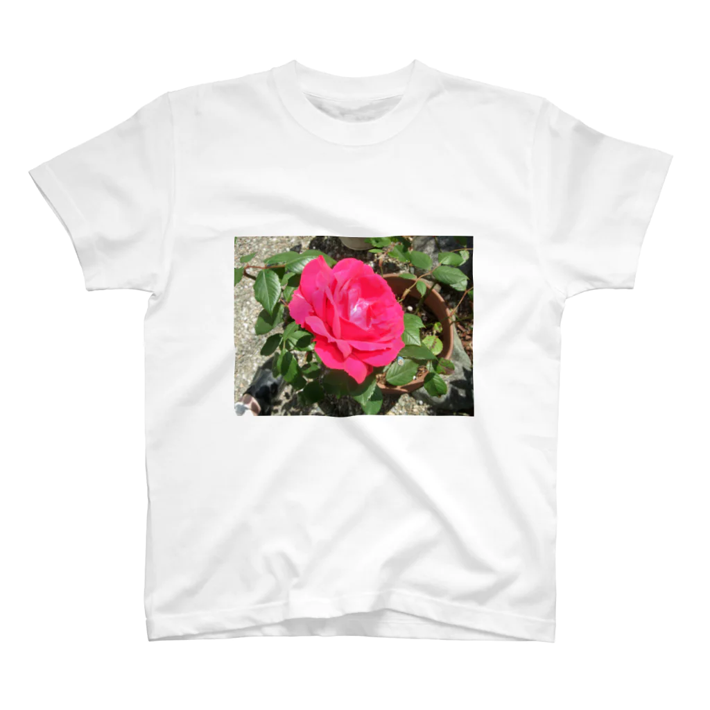 田中民生の薔薇ver.1 Regular Fit T-Shirt