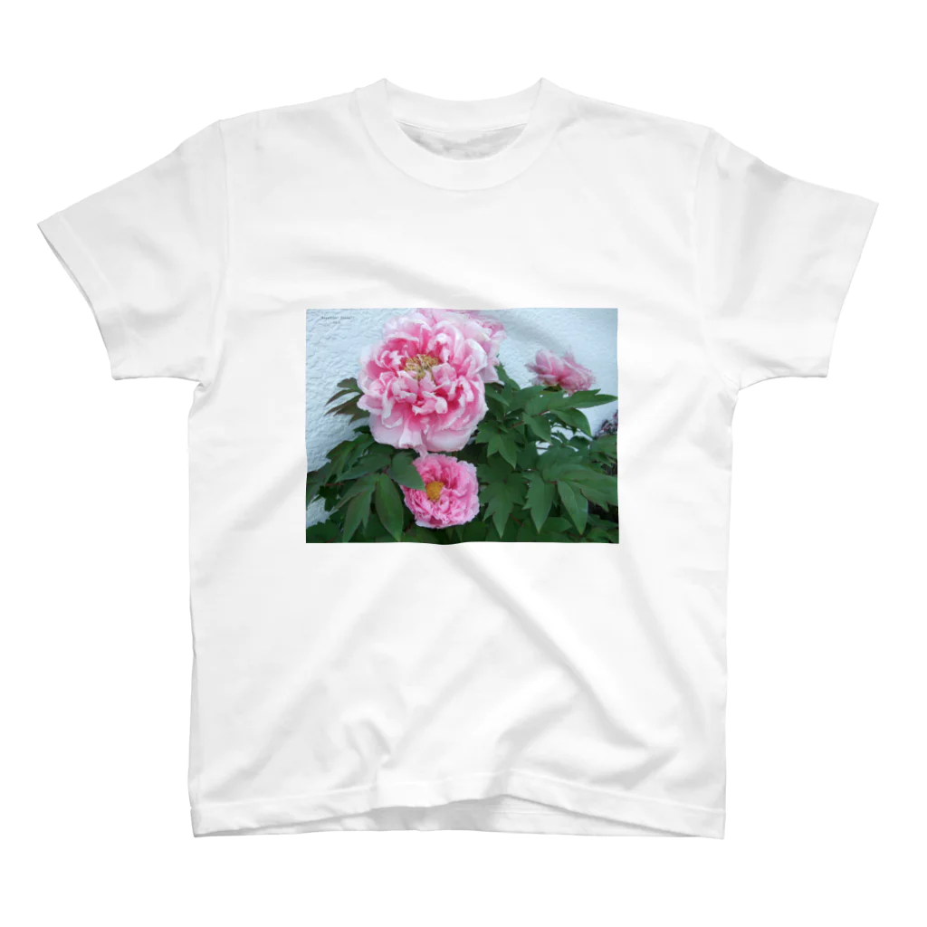 田中民生のBeautiful peony スタンダードTシャツ