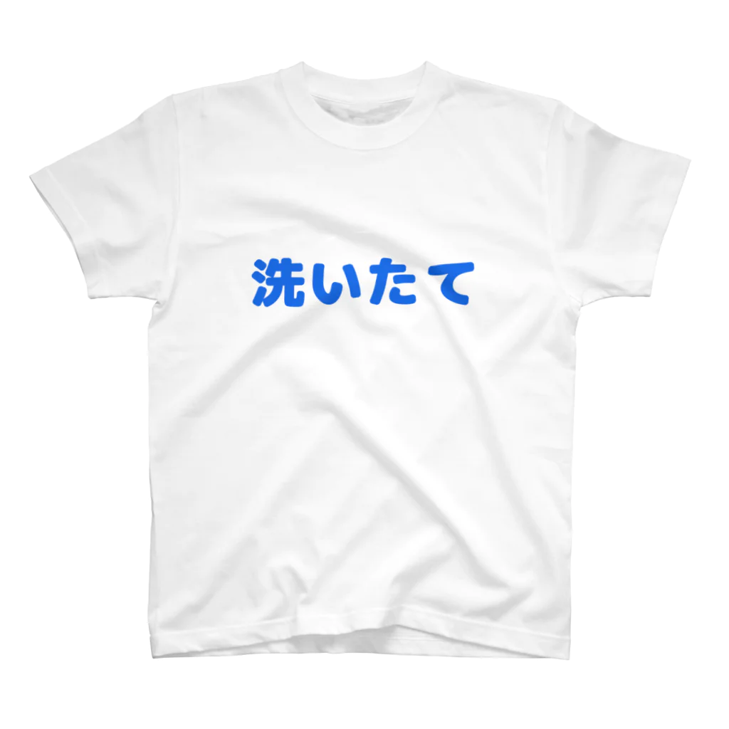 olivenokoedaの洗いたてTシャツ Regular Fit T-Shirt