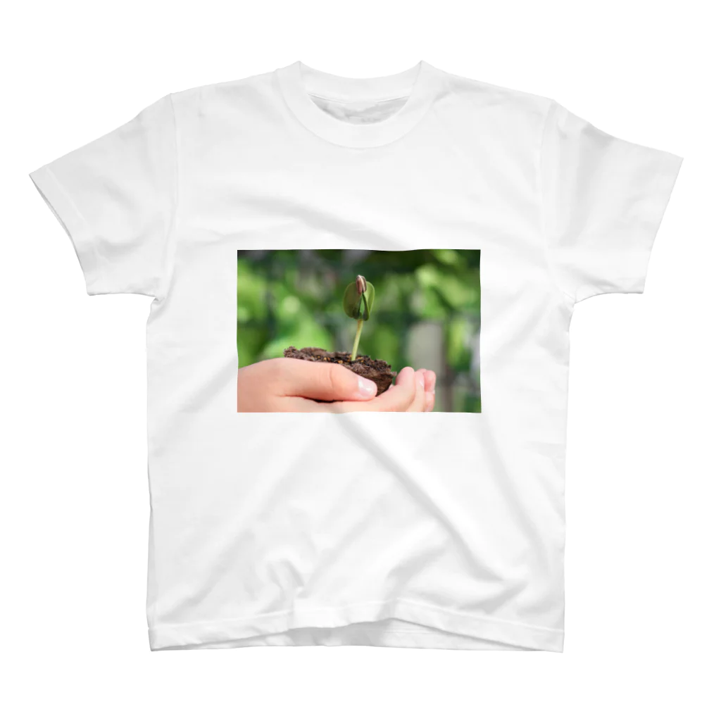 higekenのひまわりの芽 Regular Fit T-Shirt