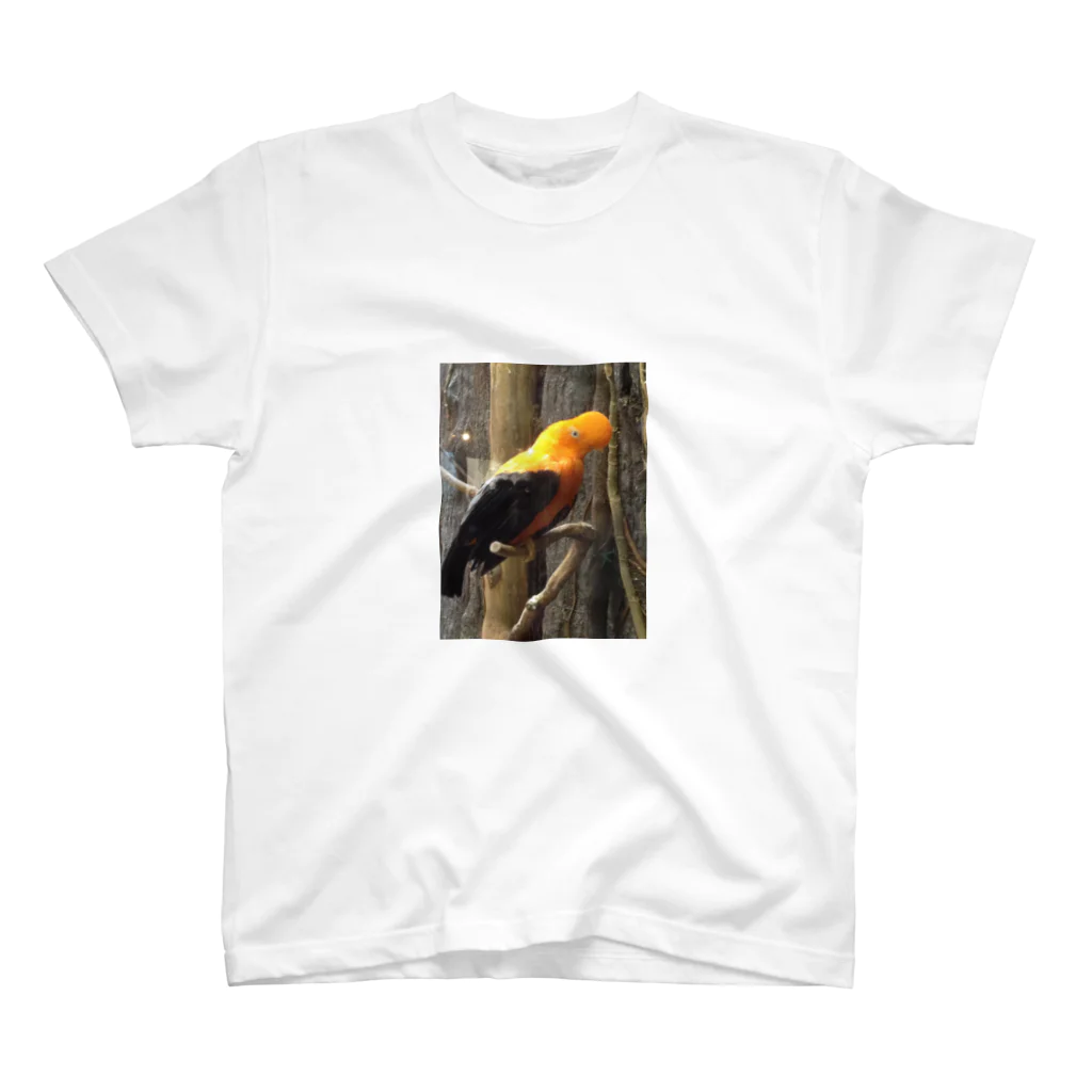 ぴすたちおの鳥さん。 Regular Fit T-Shirt