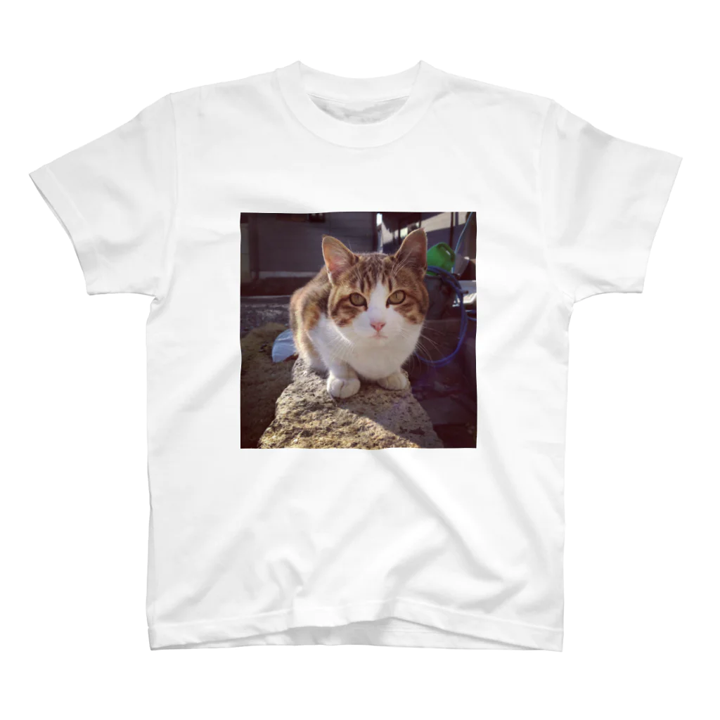 猫専門店のにゃー スタンダードTシャツ