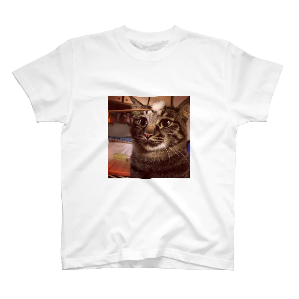 猫専門店の耳かき スタンダードTシャツ
