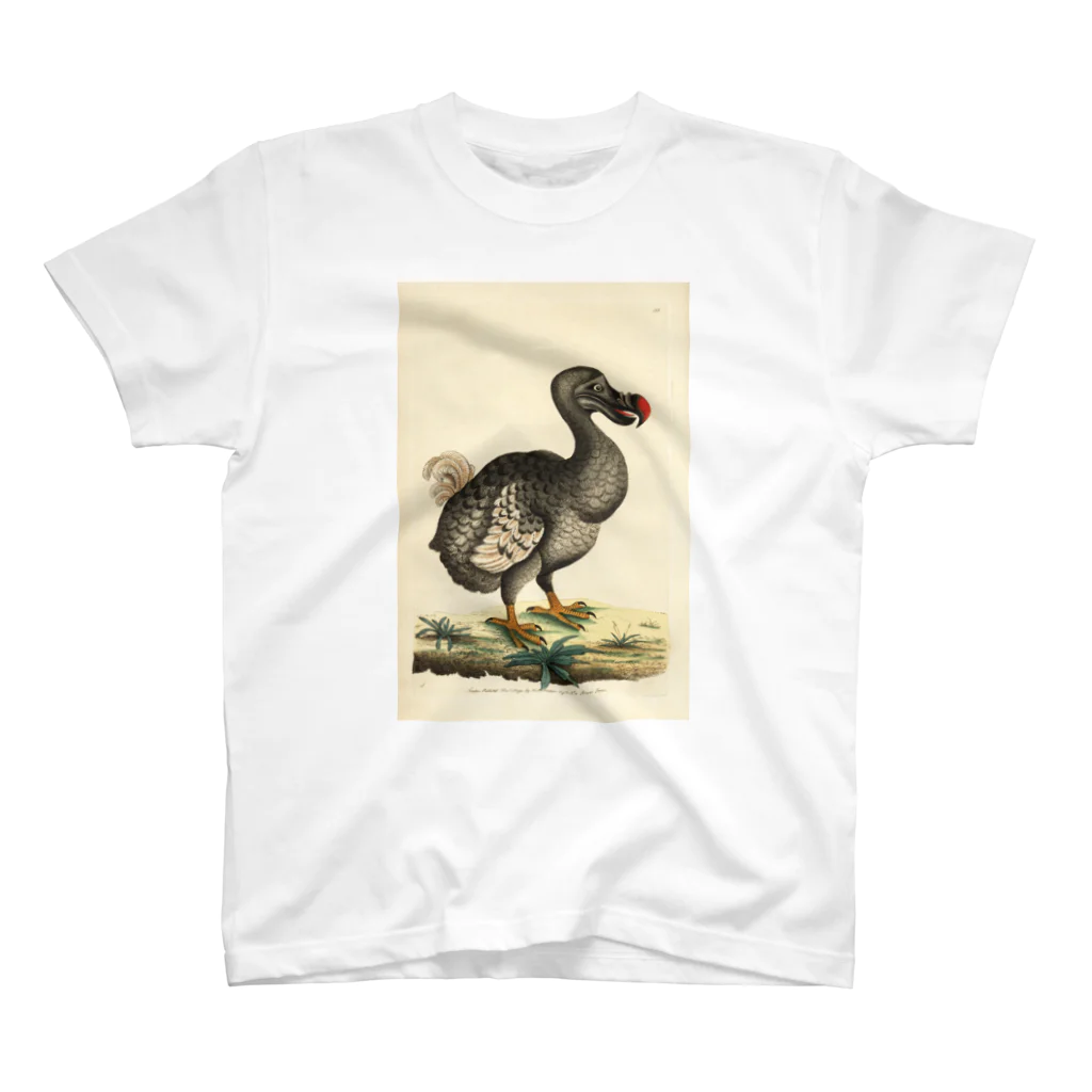 J. Jeffery Print Galleryの絶滅したドードー鳥 Regular Fit T-Shirt