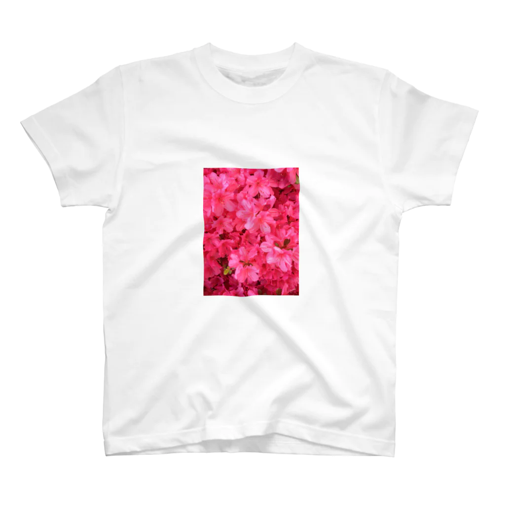 SAITO HIRONOBUの花壇の花 スタンダードTシャツ