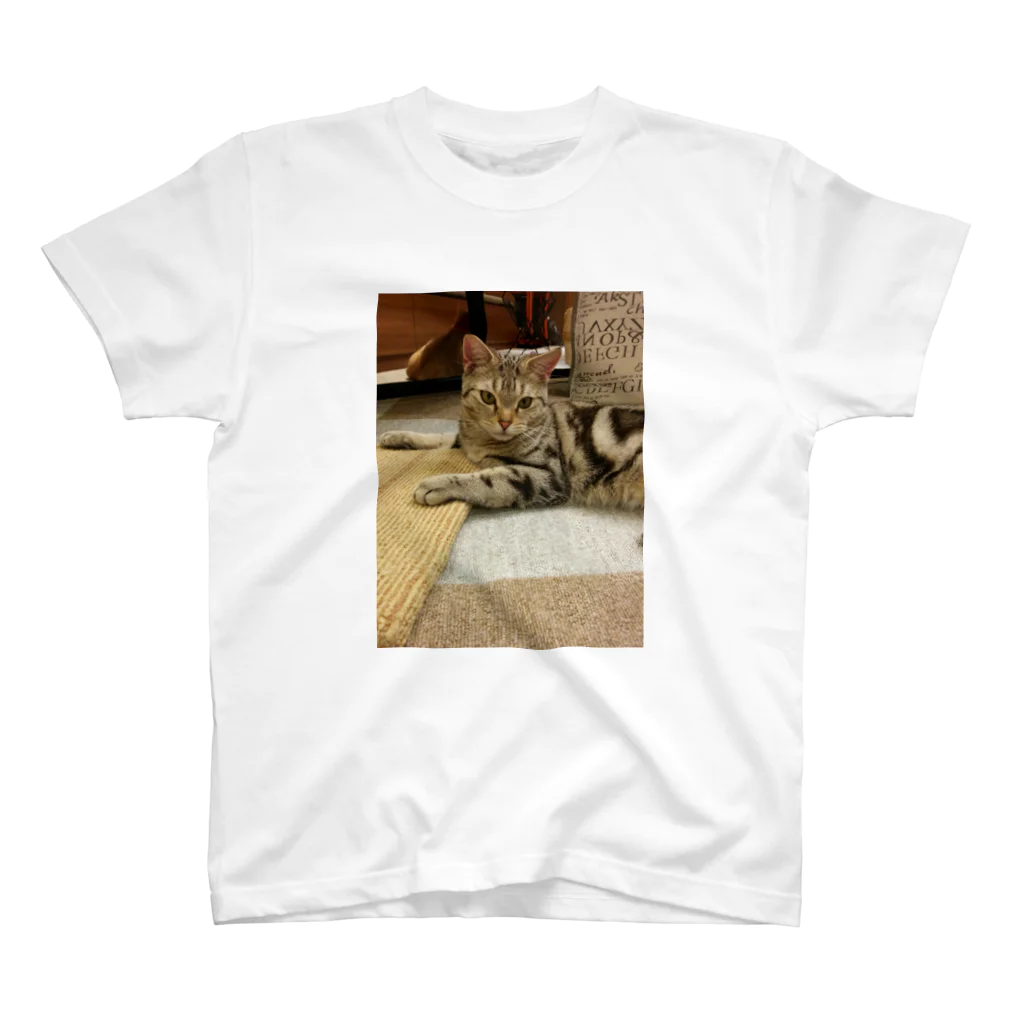 decobisuのかわいい猫 スタンダードTシャツ