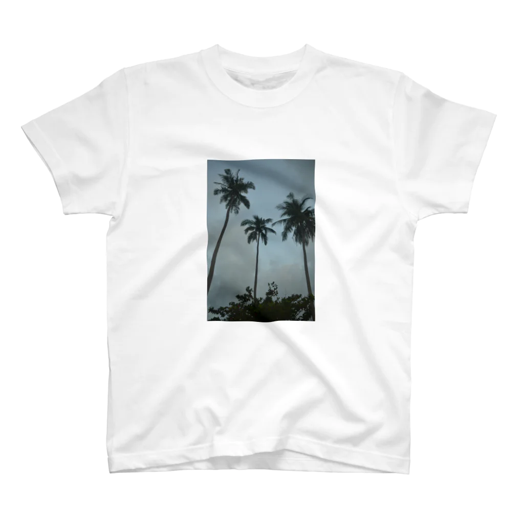 nampのcoconut スタンダードTシャツ