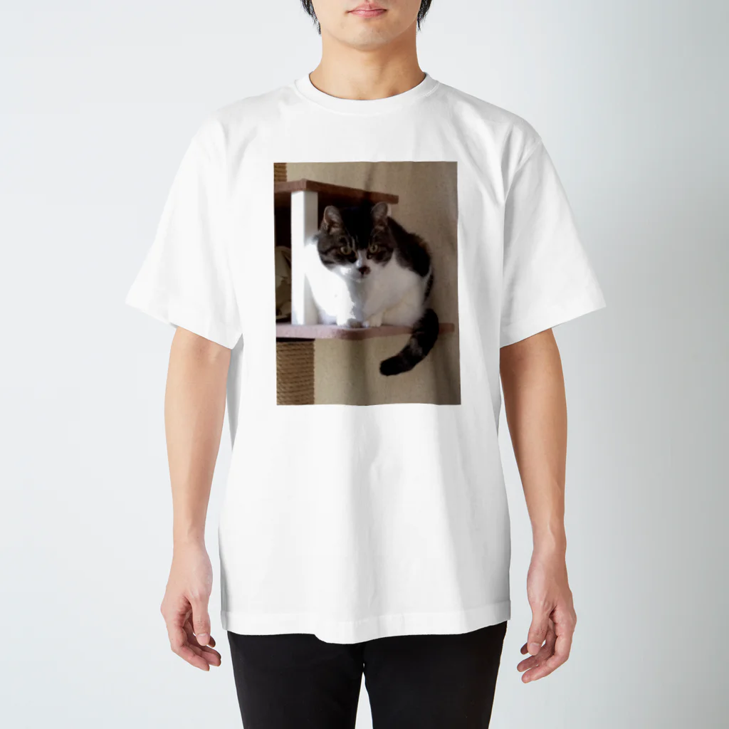 kotetsu59のねこタワーのうちの子 Regular Fit T-Shirt