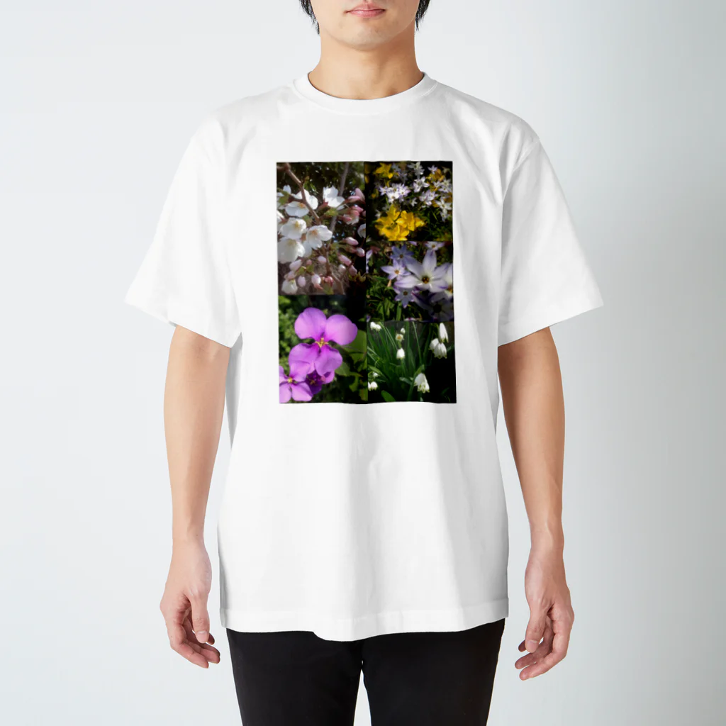 akoのspring スタンダードTシャツ