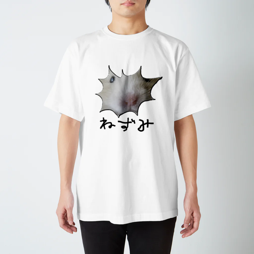 nezumi650のトレードマークのねずみ(名前付) Regular Fit T-Shirt