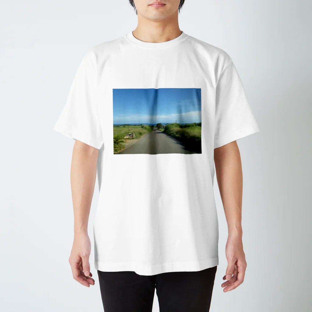 げんしょうのカントリーロード Regular Fit T-Shirt