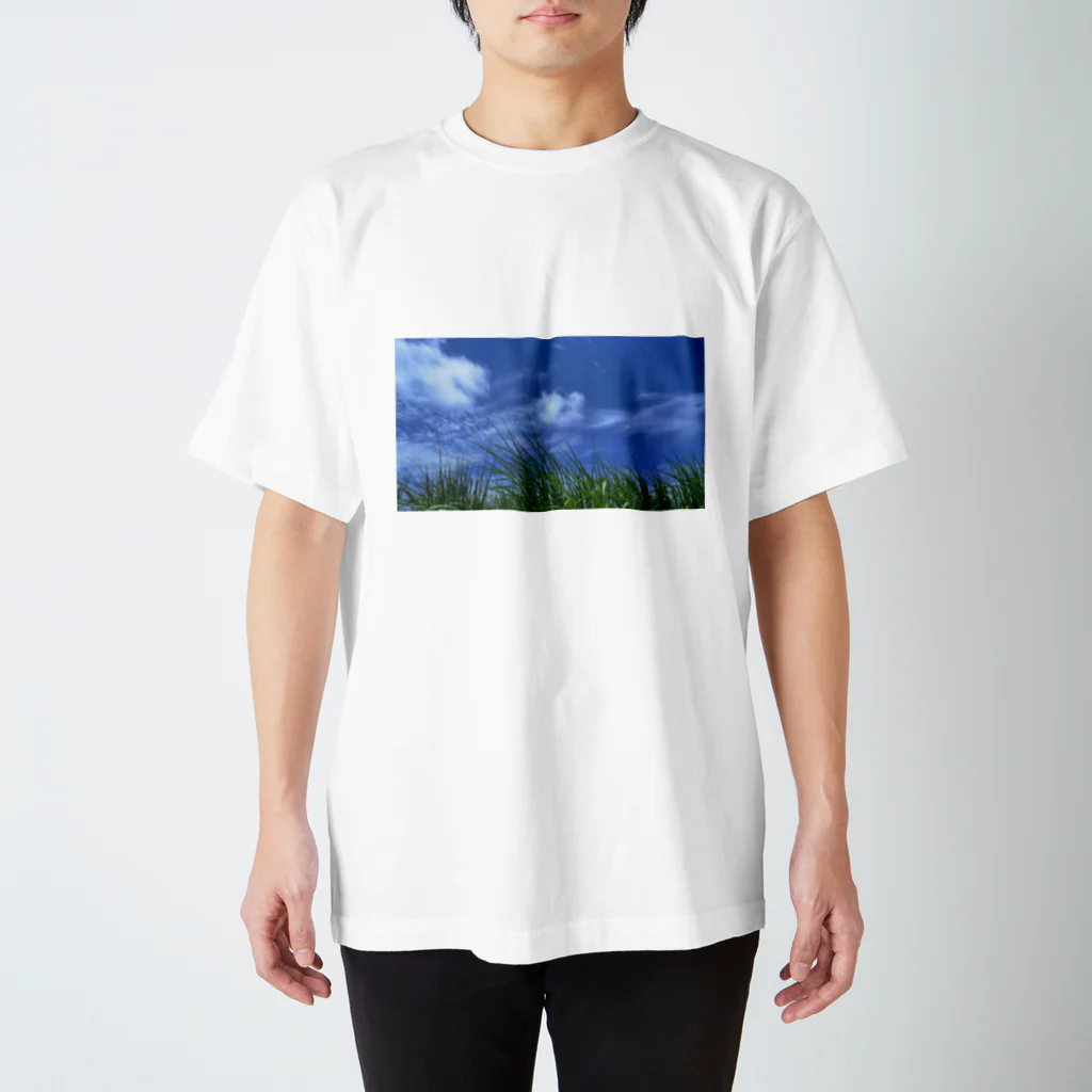 げんしょうのざわわ Regular Fit T-Shirt