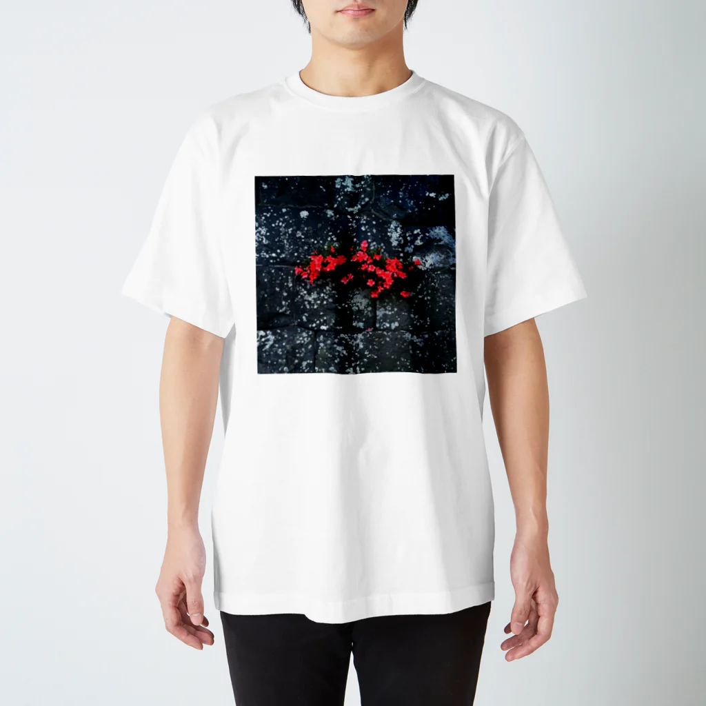 SAITO HIRONOBUの石垣の花 スタンダードTシャツ