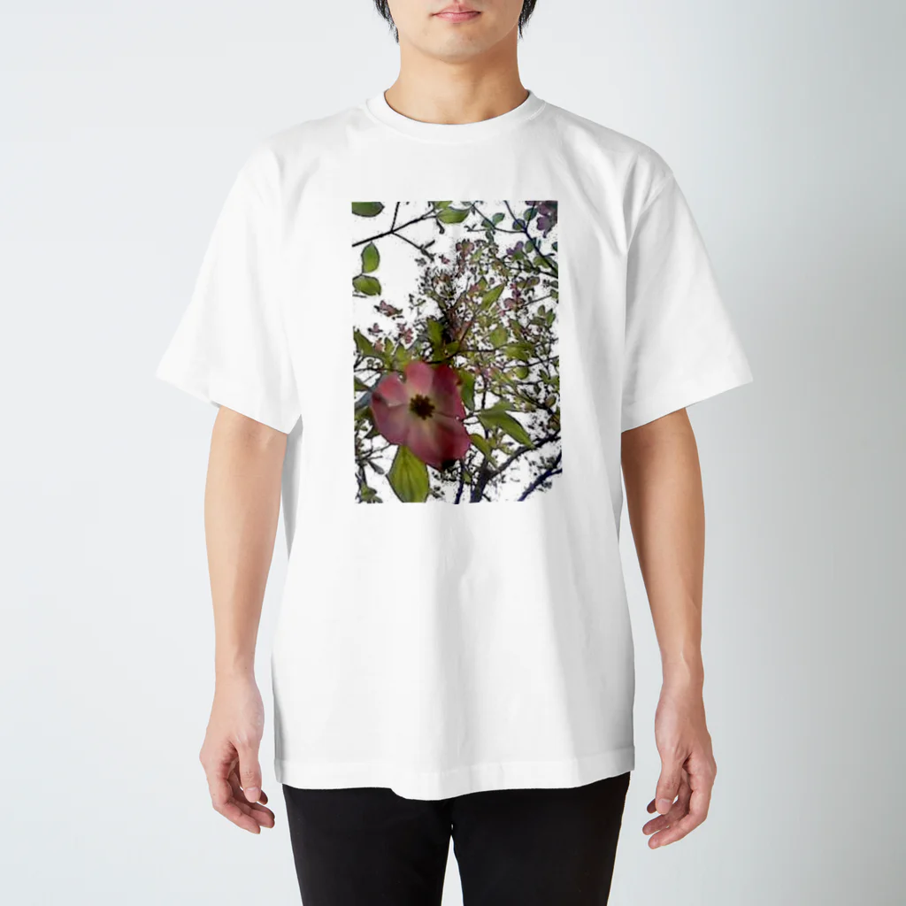 しちりのはなみずきを見あげて（大きめ） Regular Fit T-Shirt