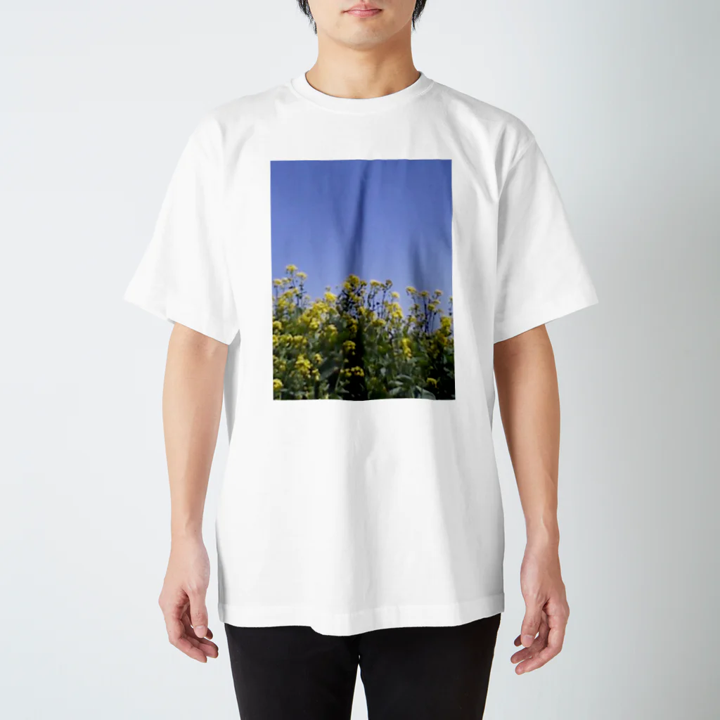 fox+foxの菜の花、良い天気 スタンダードTシャツ