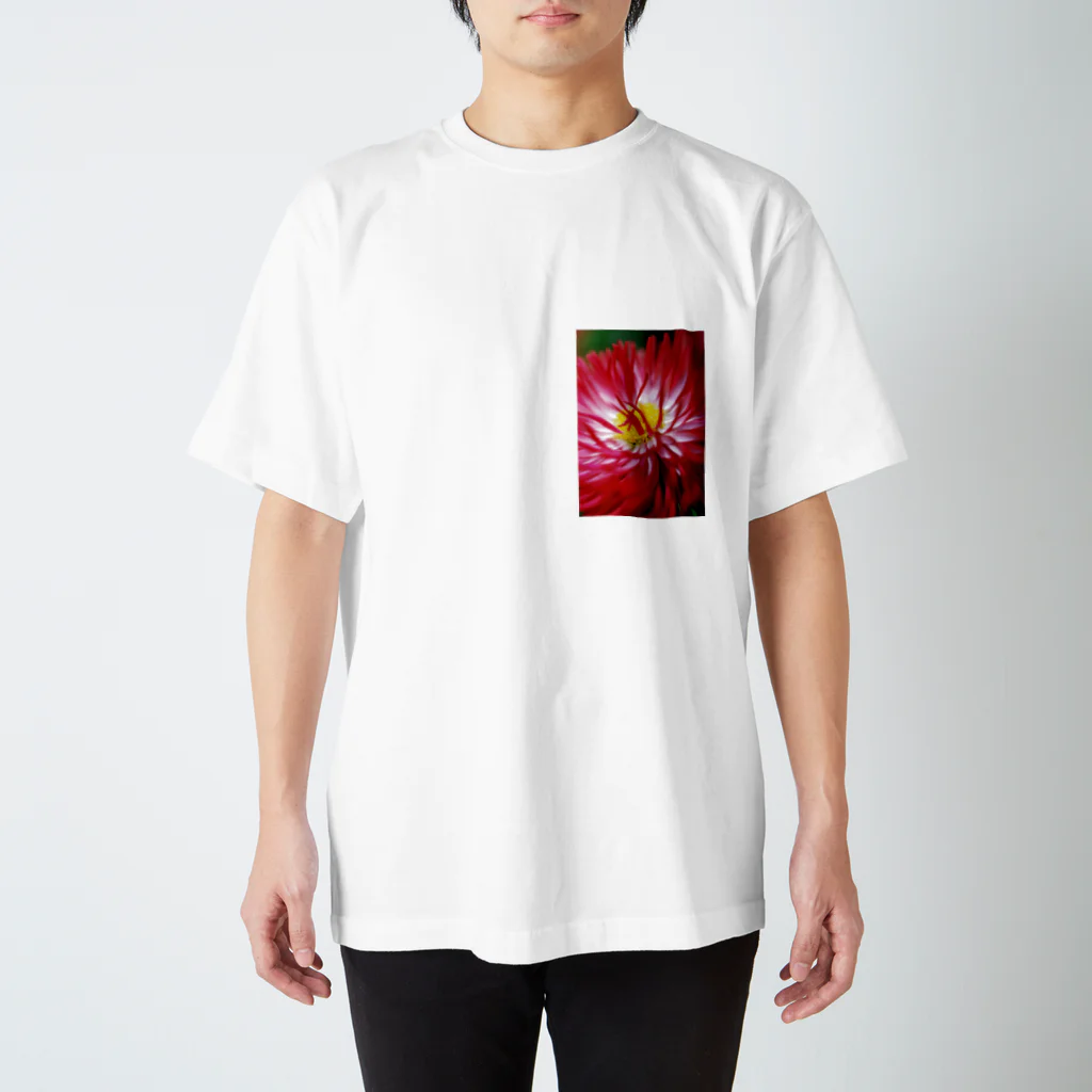 写真小僧の情熱 スタンダードTシャツ