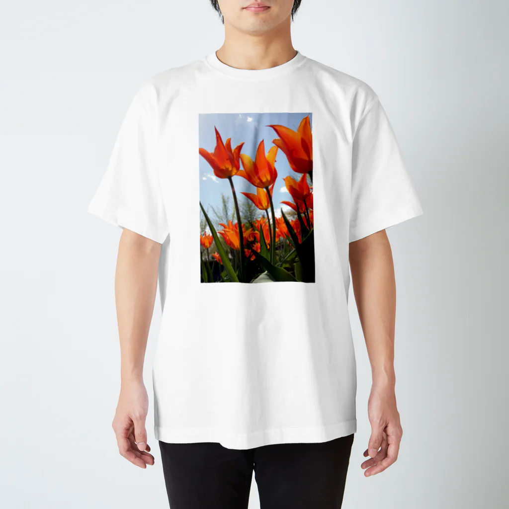 写真小僧のチューリップ スタンダードTシャツ