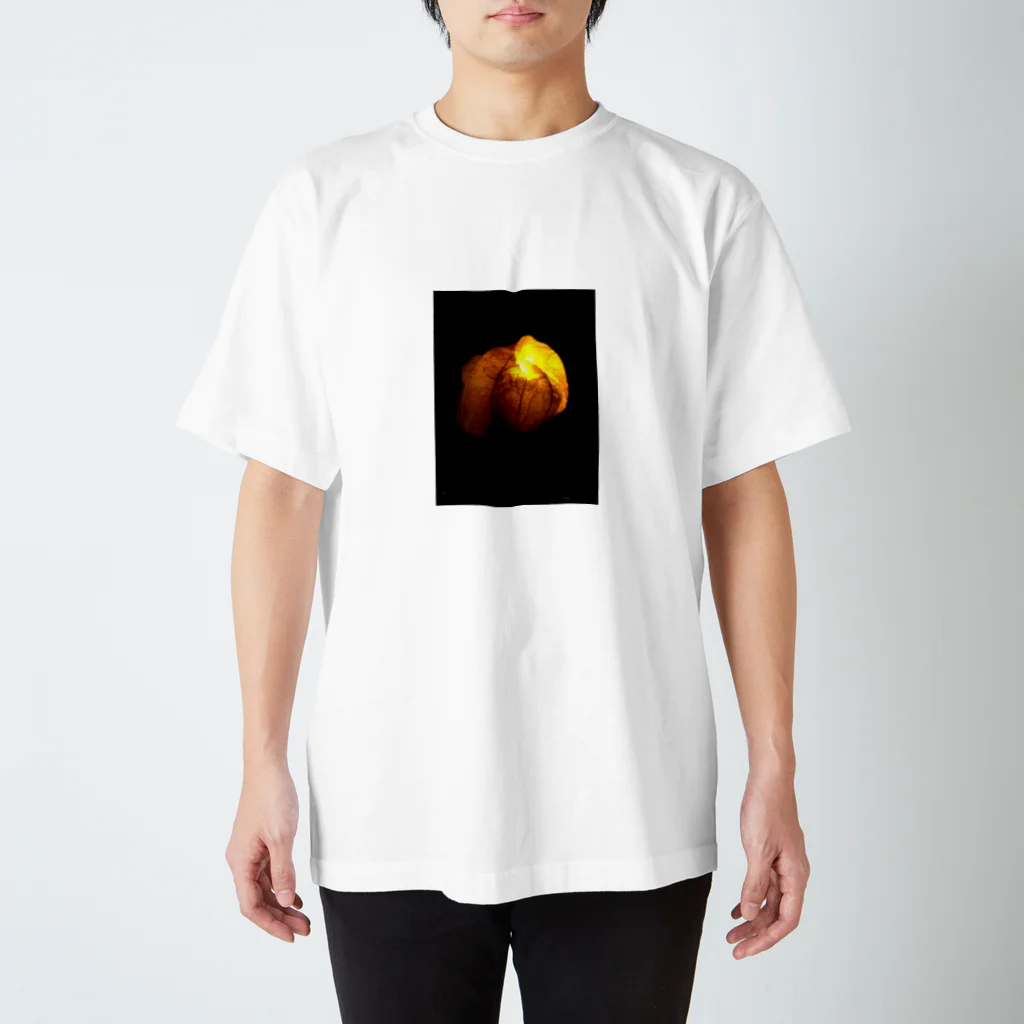 yutarouoku1194の鬼灯あかり スタンダードTシャツ