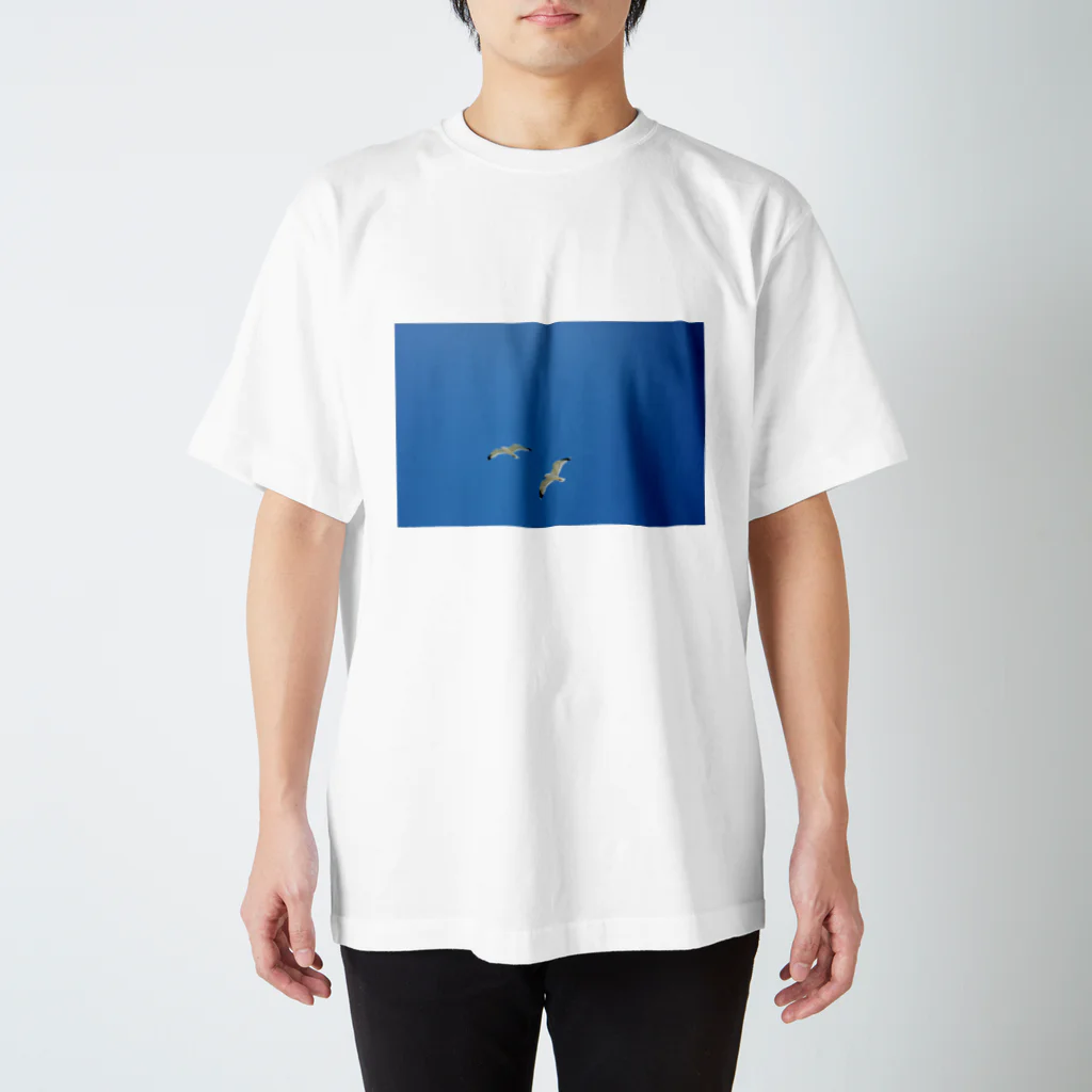 ぺんぎんのsora Regular Fit T-Shirt