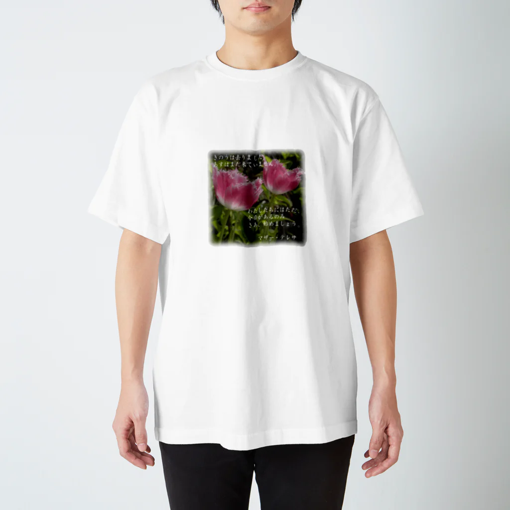 Pocotanのきのうは去りました Regular Fit T-Shirt