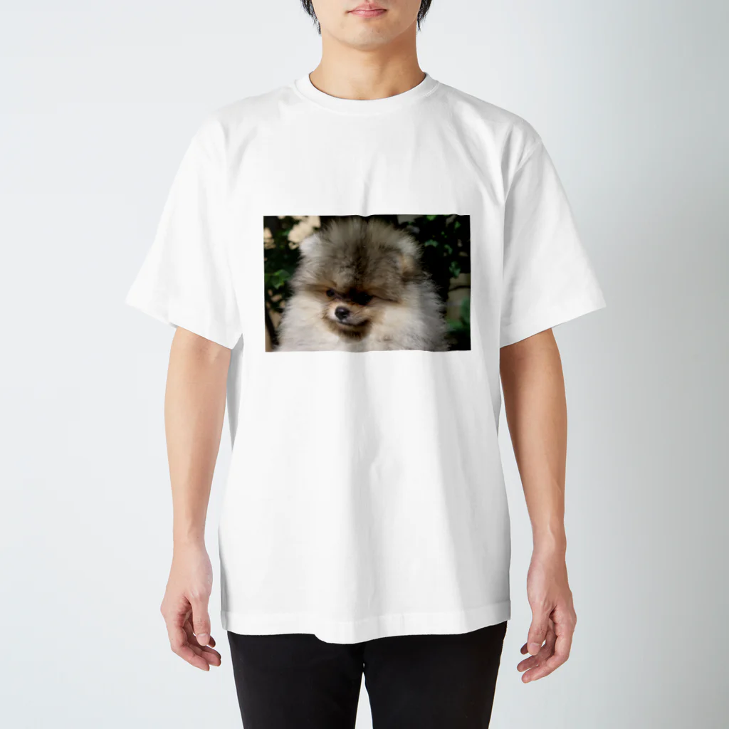 AndypukuのPretty pomeranian Moco Regular Fit T-Shirt