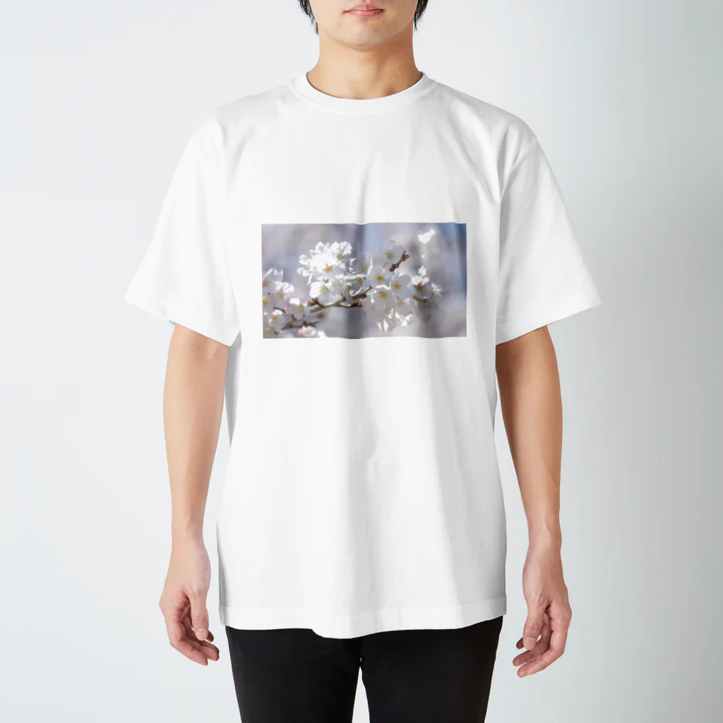 itsypleysのsakura スタンダードTシャツ