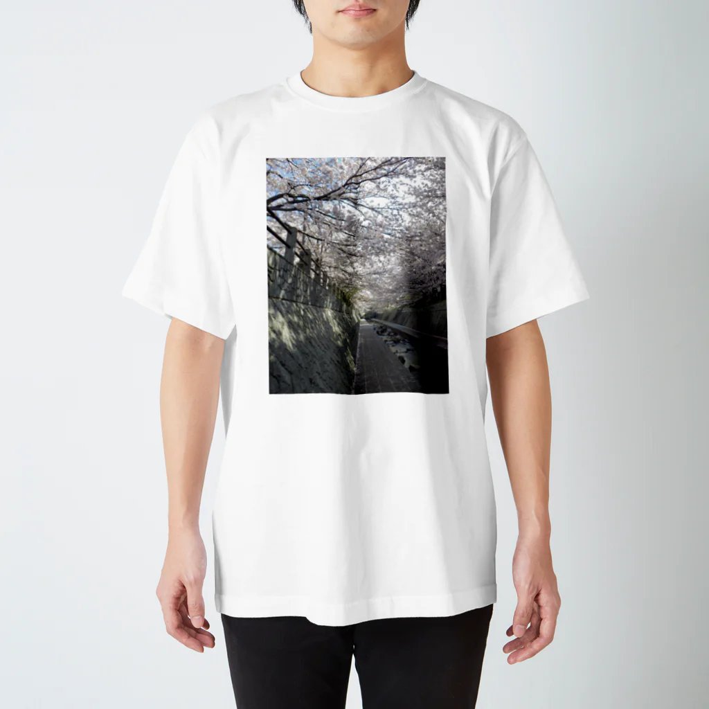 masaiの桜小道 スタンダードTシャツ