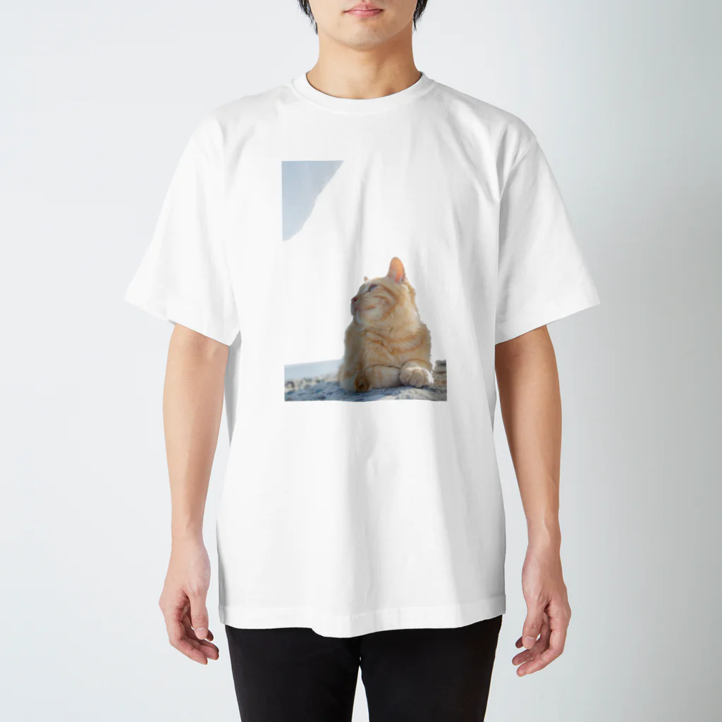 猫写真家　森永健一 にゃんこ屋 SUZURIストアのみつめる Regular Fit T-Shirt