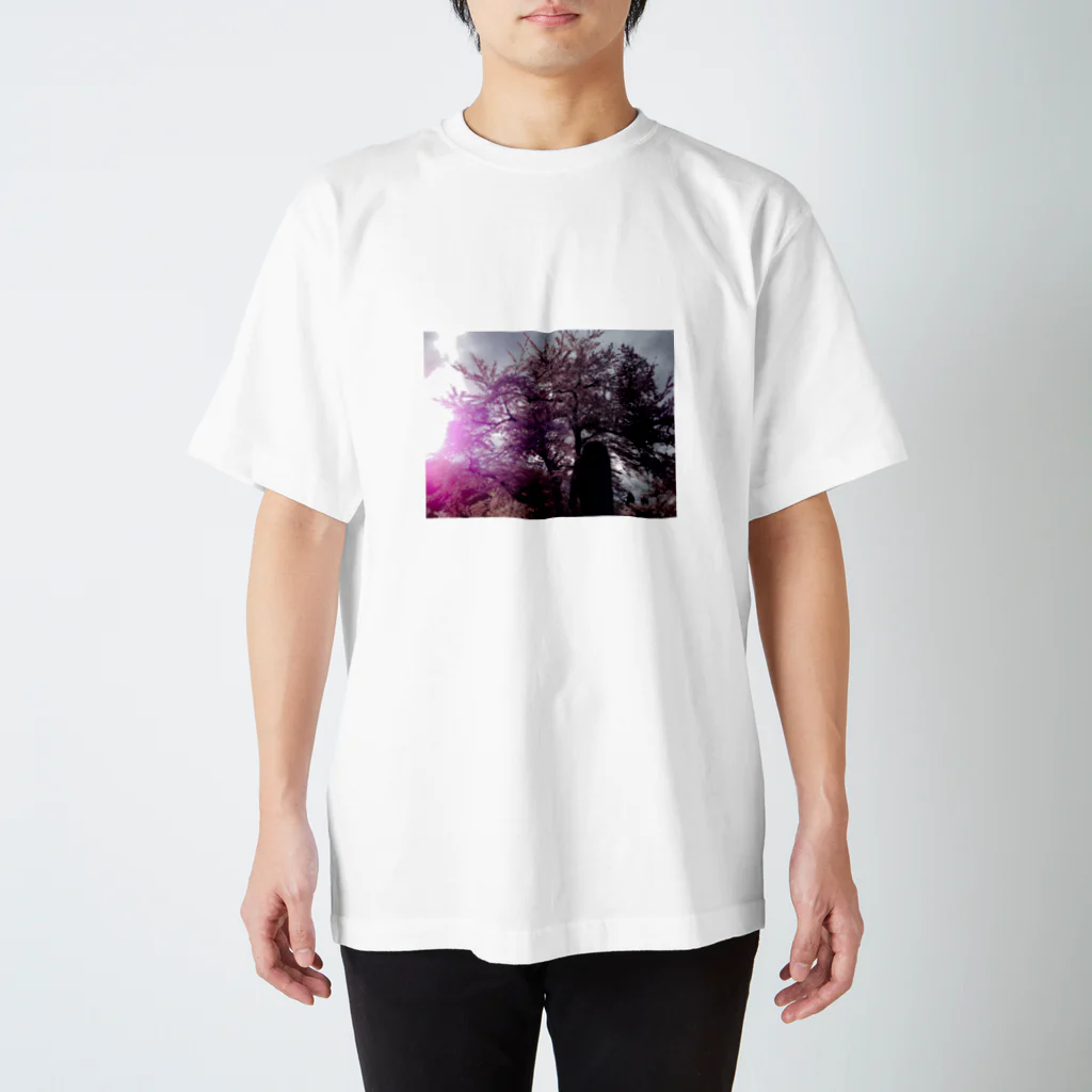風まかせの満開の桜 Regular Fit T-Shirt