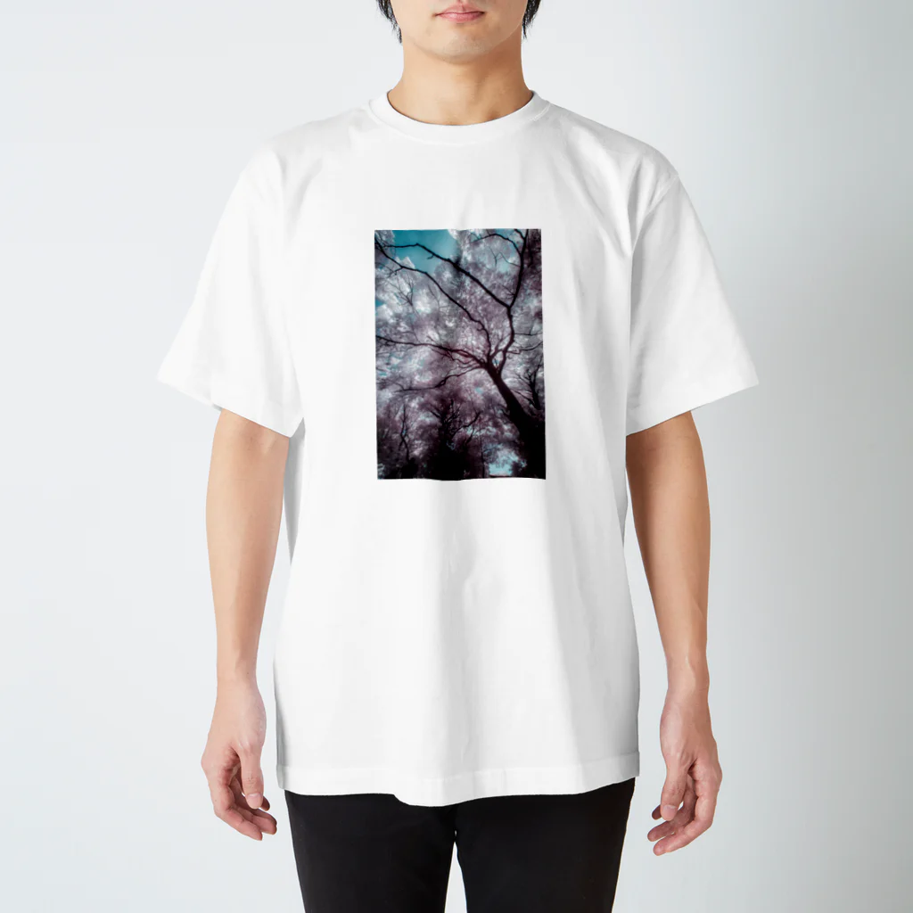 ハリネズミの異世界の血管 Regular Fit T-Shirt