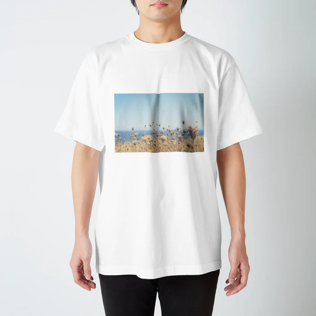 woodeeのBLUE SKY スタンダードTシャツ