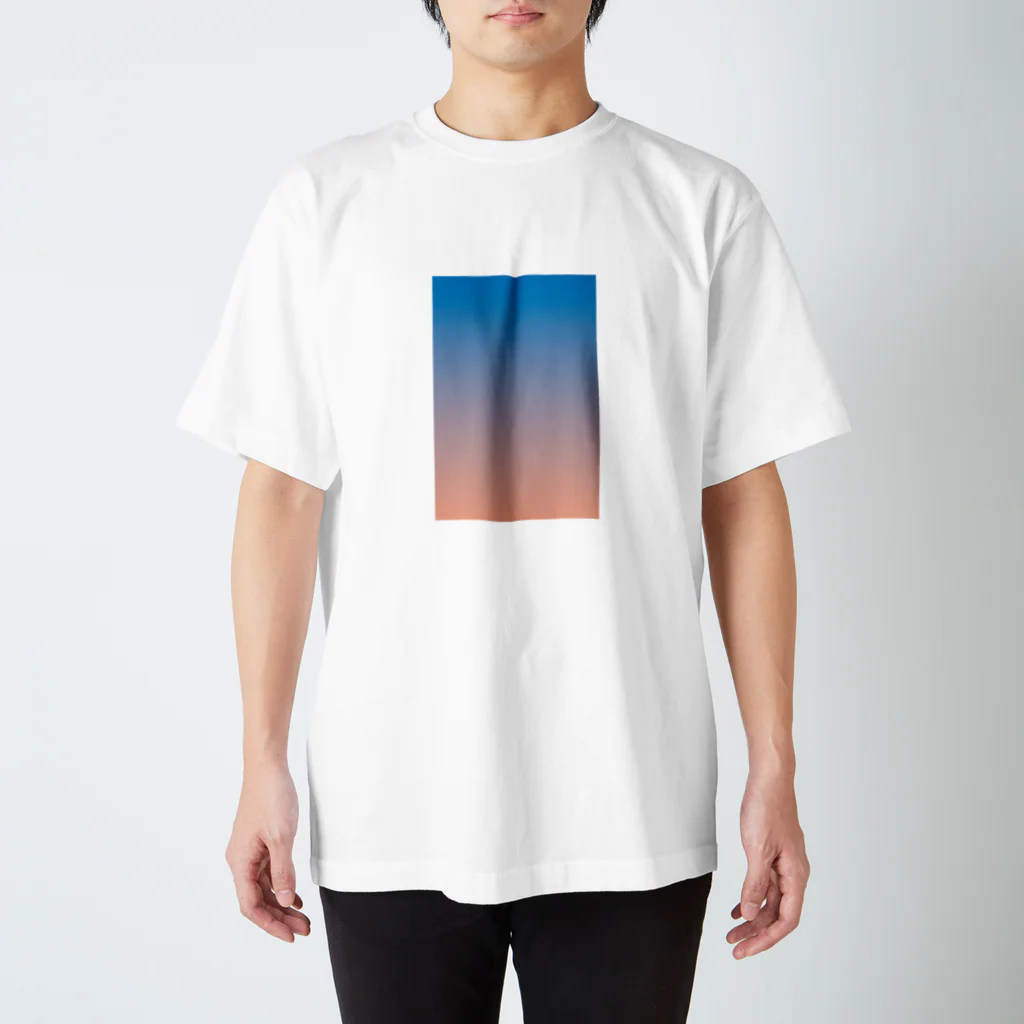 The facadeのTRICOLORE Regular Fit T-Shirt