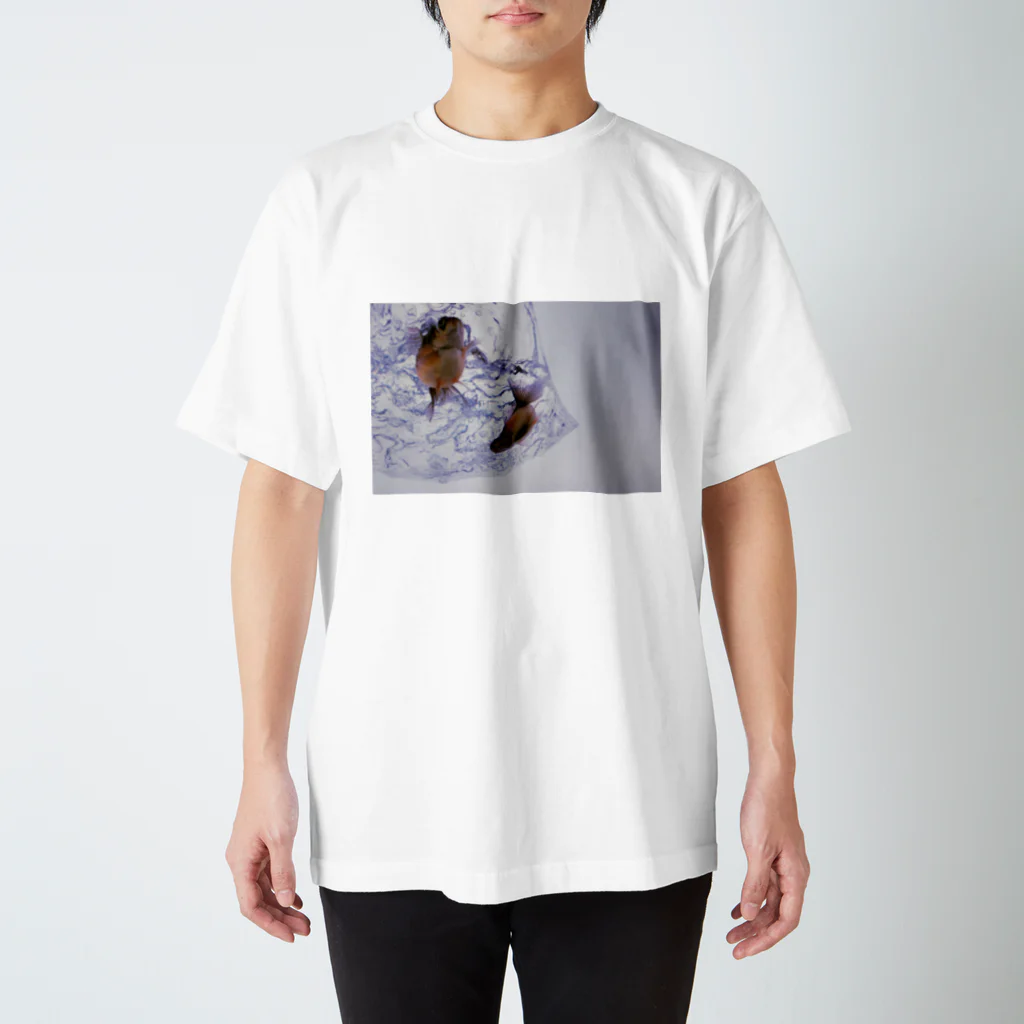 ふくろ金魚のふくろ金魚６ Regular Fit T-Shirt