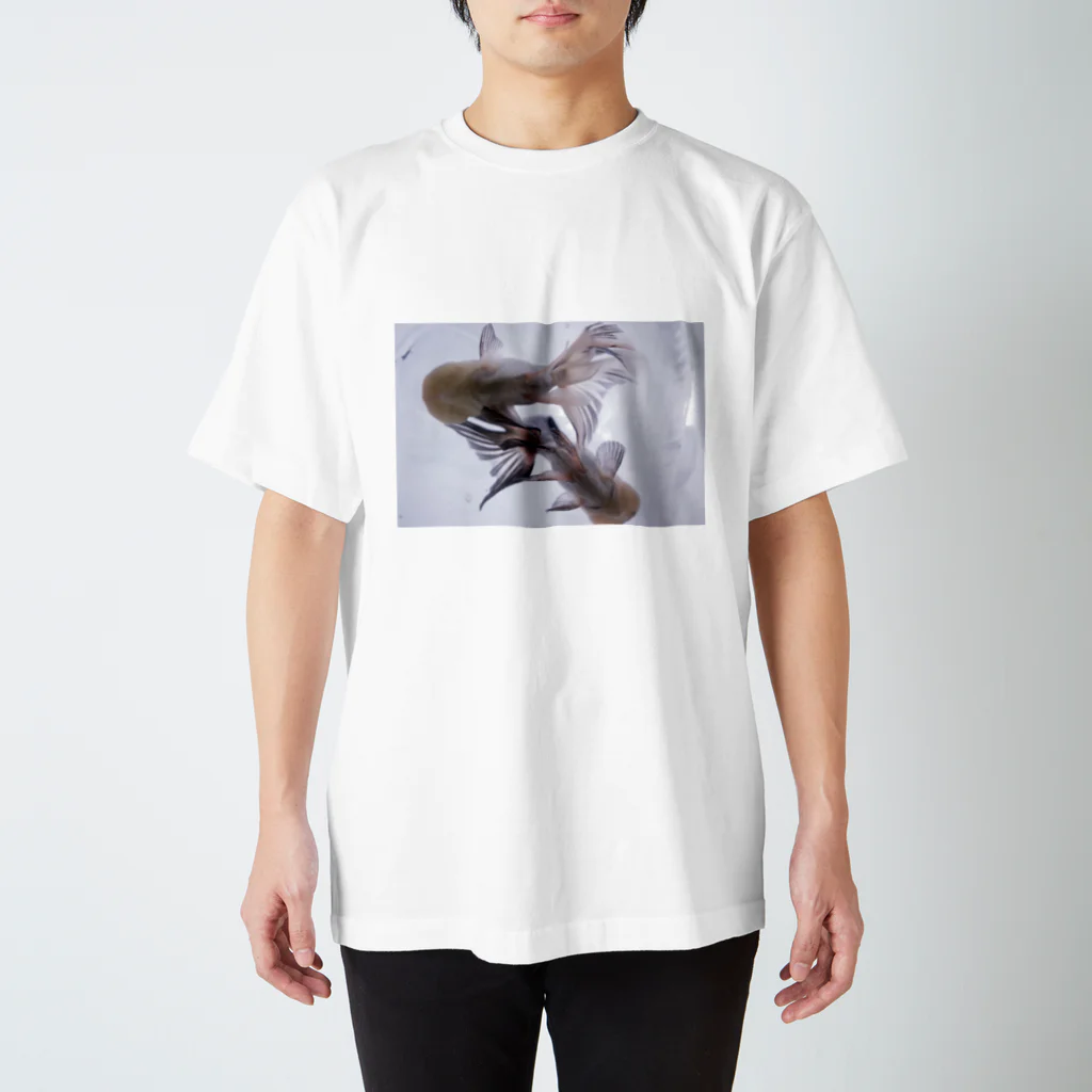 ふくろ金魚のふくろ金魚２２ Regular Fit T-Shirt