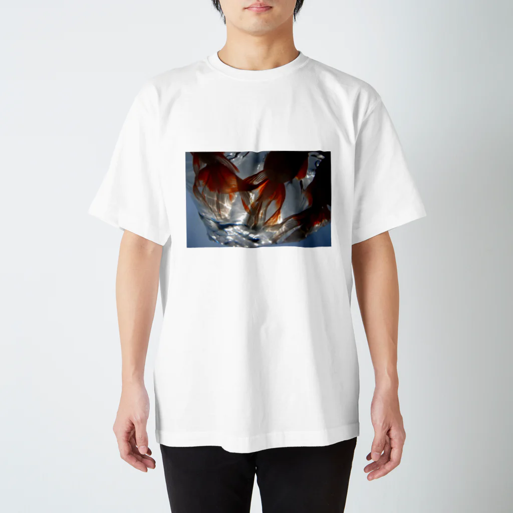 ふくろ金魚のふくろ金魚２３ スタンダードTシャツ