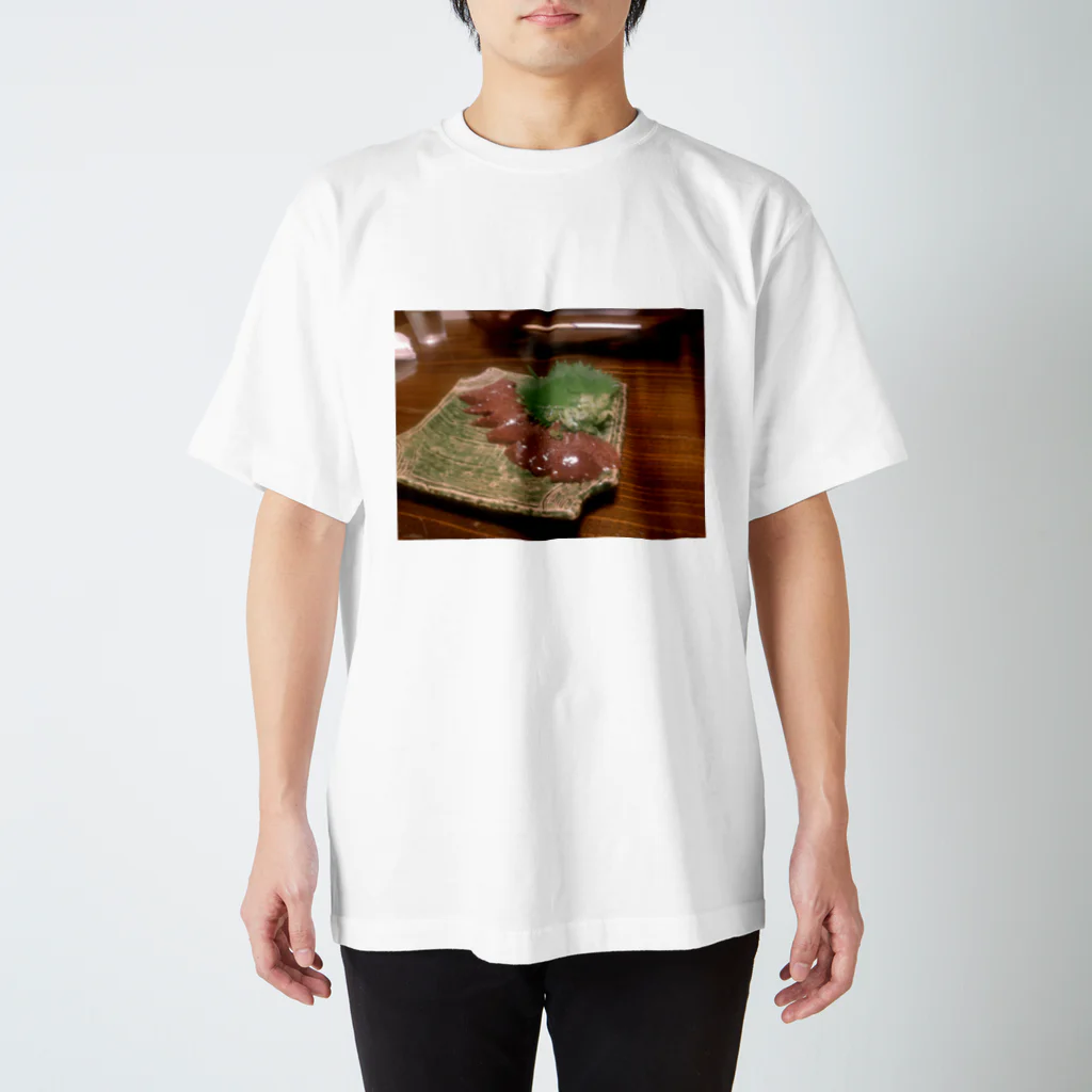 oh-skyの贖罪の新鮮な食材 スタンダードTシャツ