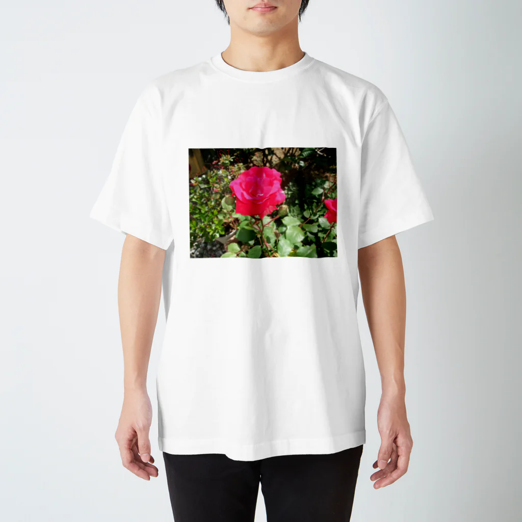 田中民生の薔薇 スタンダードTシャツ