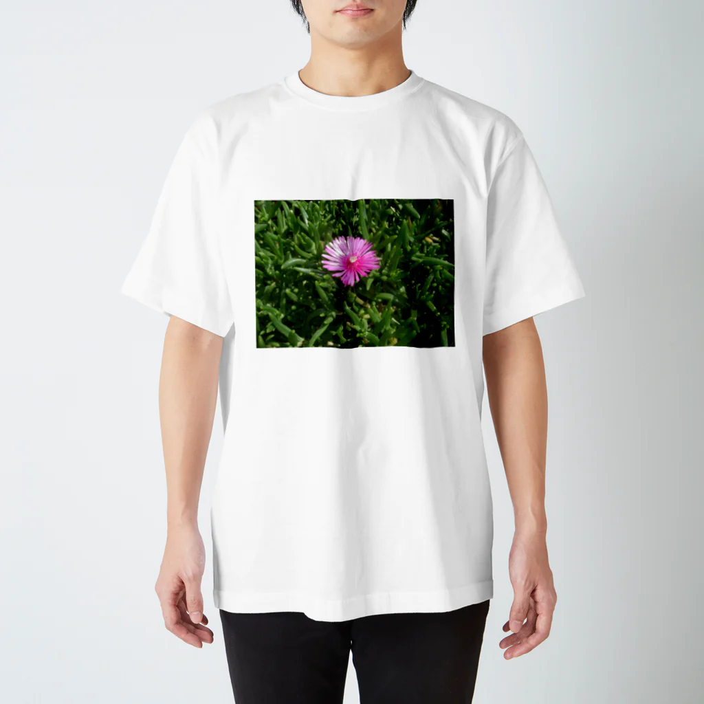 田中民生の小さい可憐な花 スタンダードTシャツ