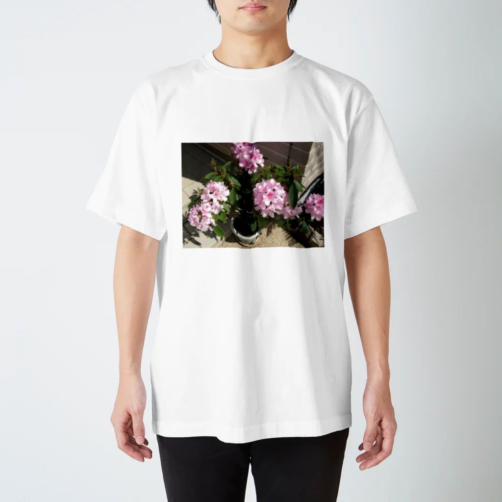 田中民生の石楠花 スタンダードTシャツ