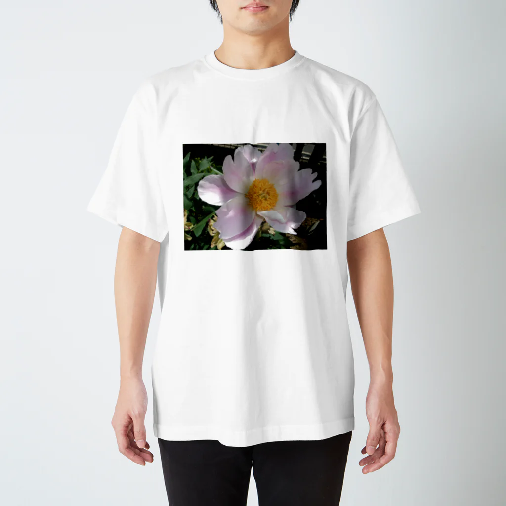 田中民生の芍薬 スタンダードTシャツ