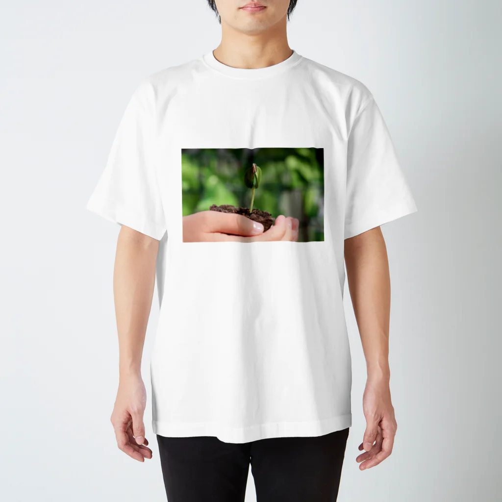 higekenのひまわりの芽 スタンダードTシャツ
