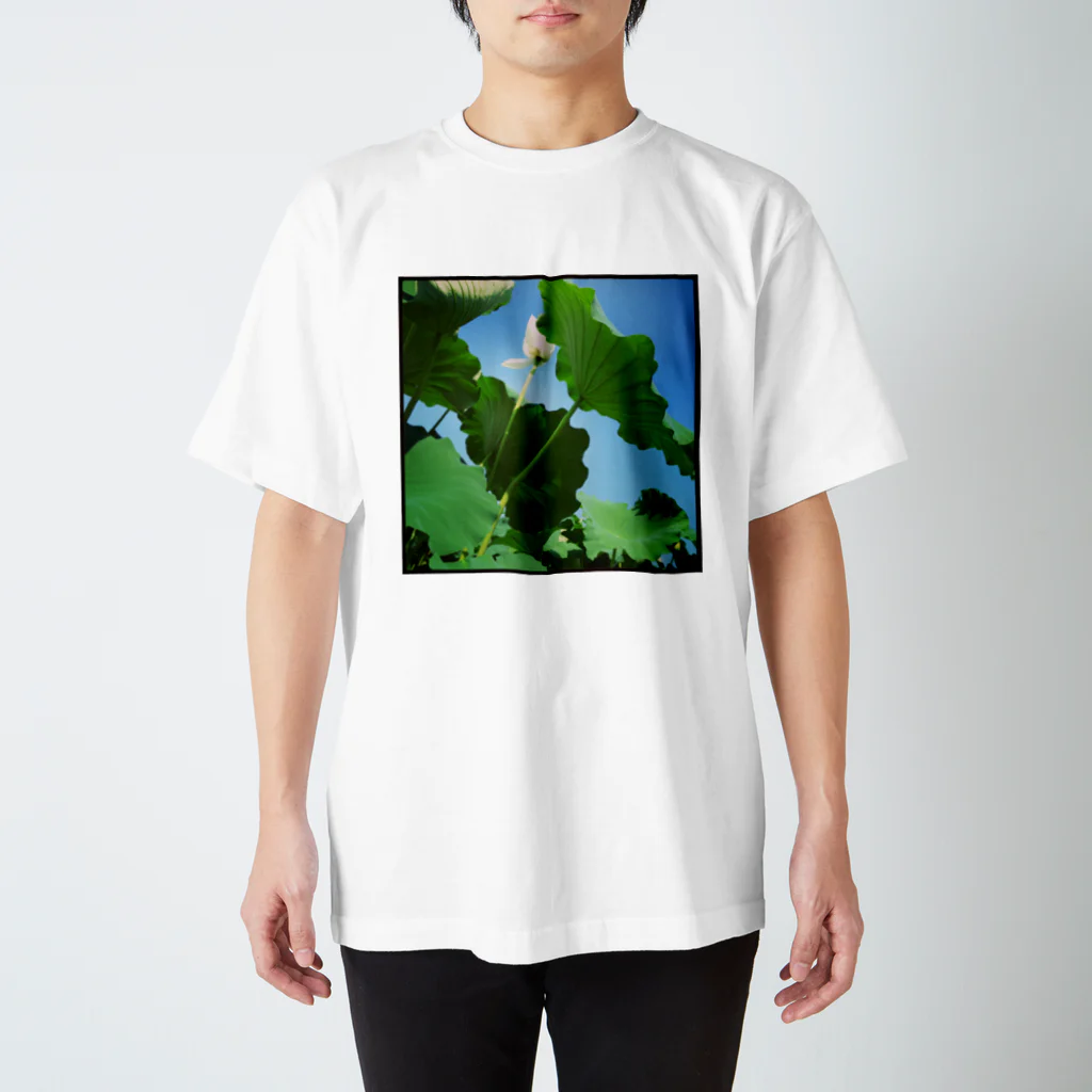 unokimiのハスの花 Regular Fit T-Shirt