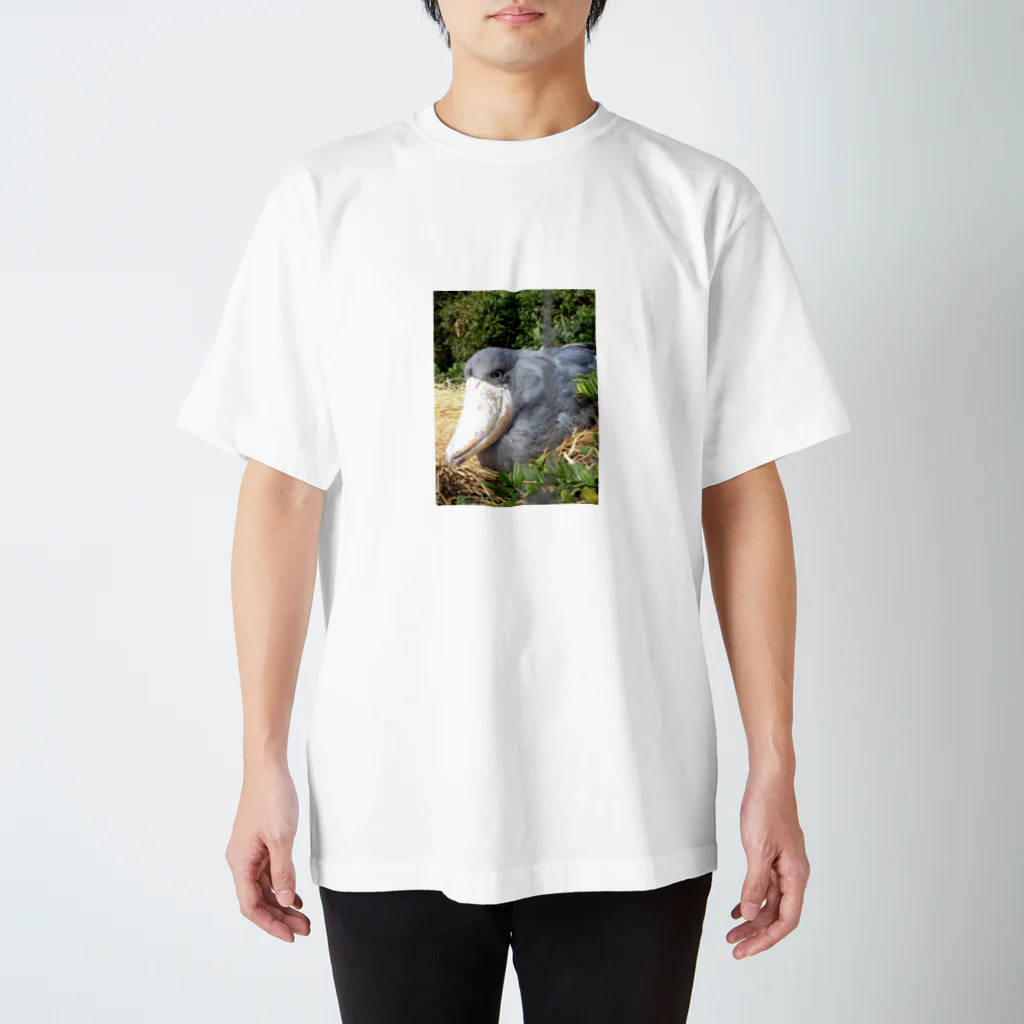 ぴすたちおのハシビロコウさん。 スタンダードTシャツ