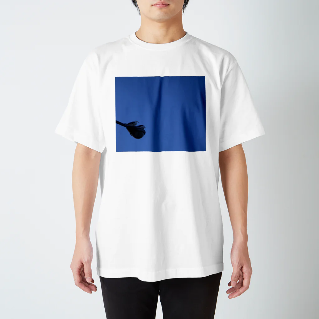 kunpuの青のキオク Regular Fit T-Shirt