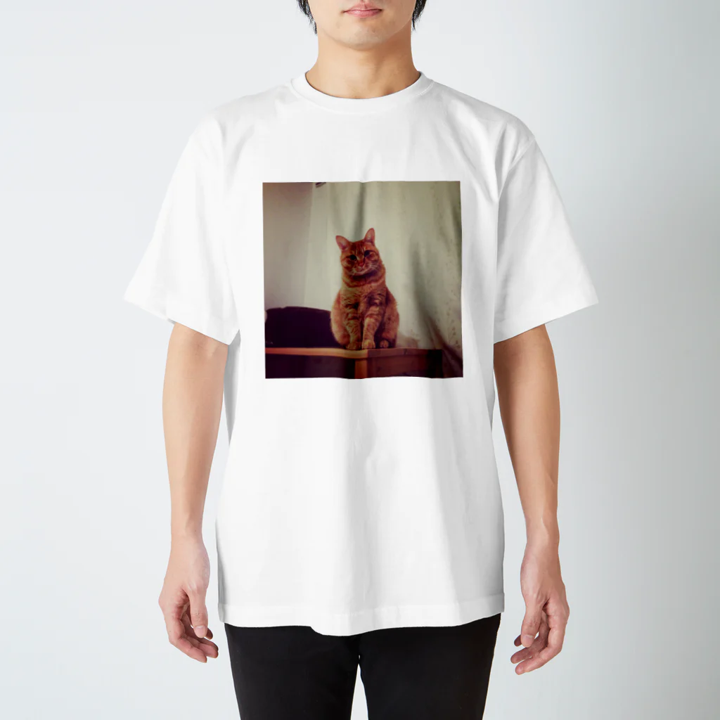 kojikaのかわいい猫です Regular Fit T-Shirt